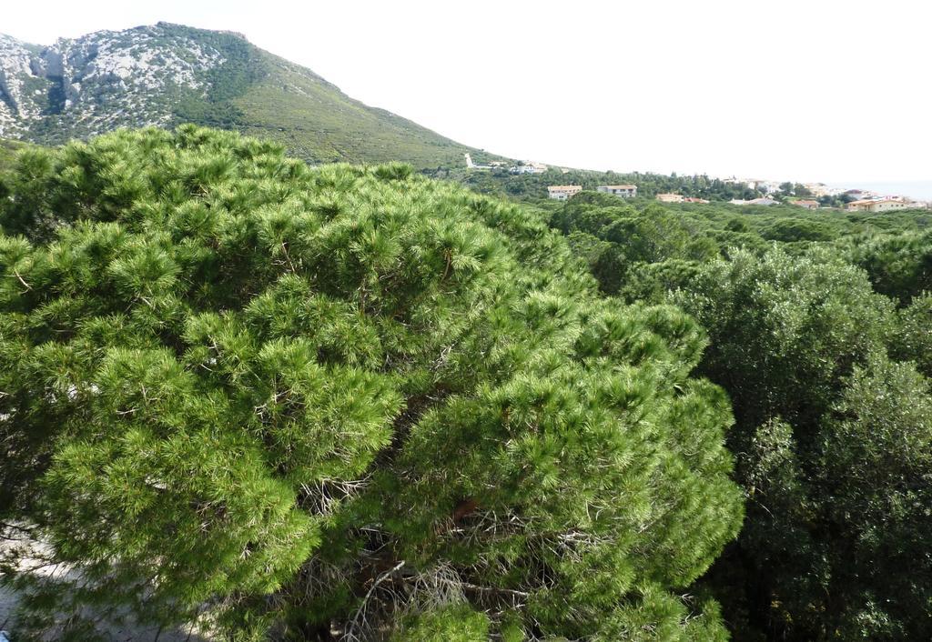 La Bouganville Apartments Cala Gonone Luaran gambar