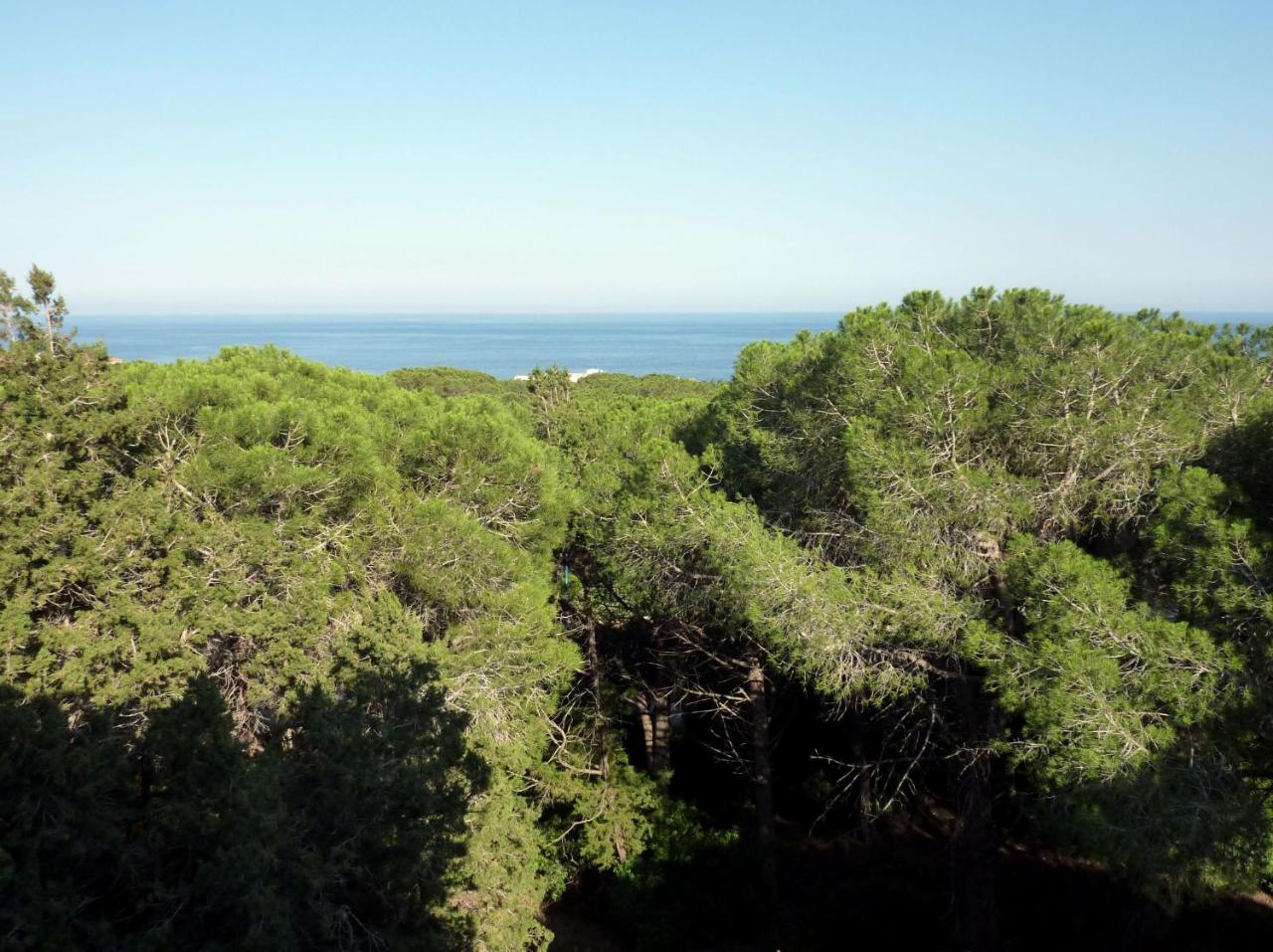 La Bouganville Apartments Cala Gonone Luaran gambar